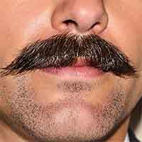 moustache pyramidale homme forme triangulaire