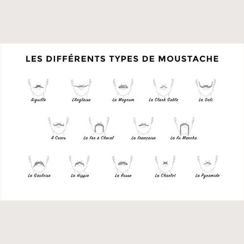 Comment choisir sa moustache